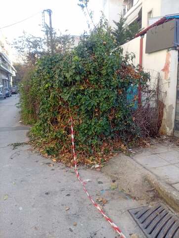 Φωτογραφία 3